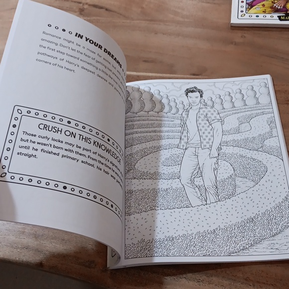 NEW HARRY STYLES Colouring Book - Picture 3 of 5
